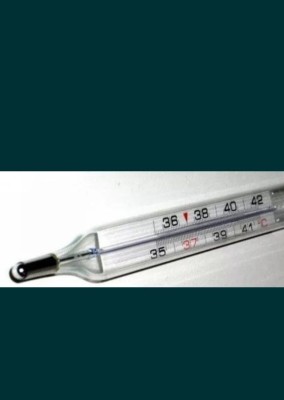 Termometru Clasic foto