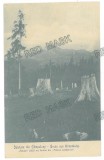 5082 - CAMPULUNG MOLDOVENESC, Suceava, Bucovina, Raraul Mountain, Romania - old postcard - used