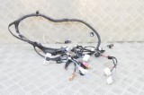 Cablaj ușă dreapta față TESLA MODEL X 2020 OEM: 1032440-00-G 21151651