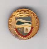 Insigna Orasul Pucioasa, Romania de la 1950