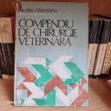 Nicolae Morosanu - Compendiu de chirurgie veterinara