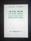 VIOREL RANGA, RADU DIMITRIU - ATLAS DE ANATOMIA OMULUI. SISTEMUL NERVOS CENTRAL