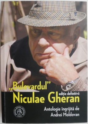 Bulevardul Niculae Gheran foto