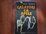 Calatori ca apele de Ion Bolos