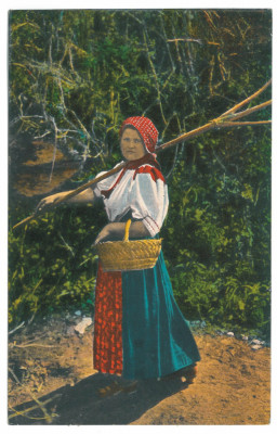 3686 - Tara CALATEI Salaj Ethnic woman Port Popular - old postcard unused - 1916 foto