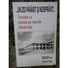 ...UN ZID PARASIT SI NEISPRAVIT - DAVID REU