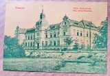 F699-Timisoara veche interbelica-Orfelinatul-WaisenHaus anii 1911 carte postala.