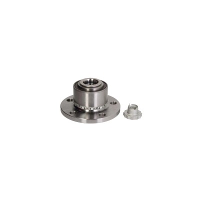 Set rulment roata SKODA FABIA Combi 6Y5 BTA H1S005BTA foto