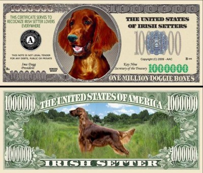 !!! SUA = FANTASY NOTE = IRISH SETTER - 2009 - UNC / SERIA CAINI , WOOF foto