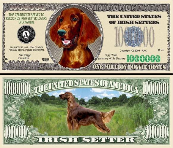 !!! SUA = FANTASY NOTE = IRISH SETTER - 2009 - UNC / SERIA CAINI , WOOF