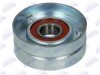 Intinzator curea transmisie MINI MINI (R50, R53) (2001 - 2006) BTA E2B0012BTA