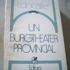 L. Ciocarlie - UN BURGTHEATER PROVINCIAL { 1984 }