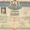 HST PM35 Diplomă de bacalaureat 1942 București Liceul Eminescu