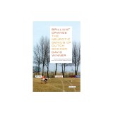 Brilliant Orange the Neurotic Genius of Dutch Soccer: The Neurotic Genius of Dutch Soccer