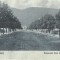AMS# - ILUSTRATA/VEDERE BULEVARDUL EMIL COSTINESCU PIATRA NEAMT 1932 CIRCULATA