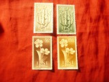 Serie IFNI colonie spaniola 1956 - Flora ,4 valori, Nestampilat