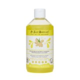 Sampon Iv San Bernard cu Ghimbir si Soc NEW, pentru caini si pisici, 500ml
