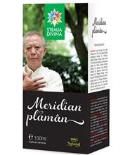 Tinctura Meridian Plaman Santo Raphael 100ml Cod: sant00018 foto