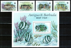 Barbuda 1987 WWF, Mi #953-956 + Bl 121**, pesti, MNH, cota 500 ?! FOARTE RARE!!! foto