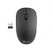 Mouse NGS