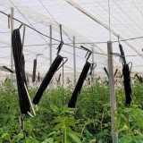 Carlig de palisare- 22 cm-1000 buc