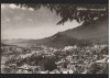 CPIB 22561 - CARTE POSTAL - BUSTENI, VEDERE GENERALA, RPR, NECIRCULATA, Fotografie