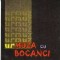 Amalia Segarceanu, Urmuza cu bocanci
