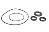 Cumpara ieftin Set de garnituri diferentiale Fata pentru POLARIS MAGNUM, XPEDITION 325/425/500 1999-2002