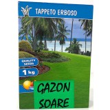 Seminte Gazon Soare Prima Sementi, 1kg - Gazon Rezistent la Soare, Ideal 30mp