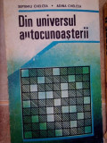Septimiu Chelcea - Din universul autocunoasterii (1990)