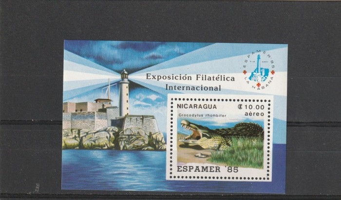 EXpo ,fauna crocodil,far ,Nicaragual!!