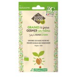 Ridiche Neagra pentru Germinat Bio Germline 150gr