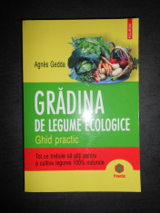 AGNES GEDDA - GRADINA DE LEGUME ECOLOGICE. GHID PRACTIC foto