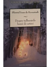 Sfantul Ioan De Kronstadt - Despre tulburarile lumii de astazi (Editia: 2011) foto
