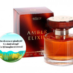 Parfum Amber Elixir Ea 50 ml + Insigna