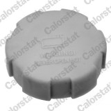 CALORSTAT by Vernet RC0008 buson,vas expansiune