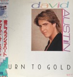 Vinil LP # "Japan Press" ~~ PROMO ~~ David Austin &lrm;&ndash; Turn To Gold EMS-50146 (EX)