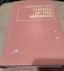 Carte 1112 CONSTANTIN TOIU GALERIA CU VITA SALBATICA