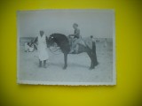 HOPCT RO 397 P COPIL CU CALUL PE PLAJA -FOTOGRAFIE VECHE-TIP CP