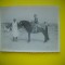 HOPCT RO 397 P COPIL CU CALUL PE PLAJA -FOTOGRAFIE VECHE-TIP CP