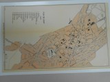 Harta Iasi, 1920, 35x21 cm, Drotleff Sibiu, limba franceza, superba