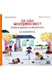 Ce vad ochisorii mei? La gradinita. Cauta si gaseste cu Montessori - Karine Surugue, Charline Picard