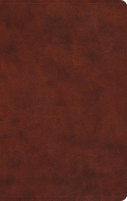 Large Print Value Thinline Bible-ESV foto