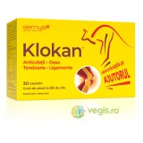 Klokan (Articulatii, Oase, Tendoane, Ligamente) 30cps