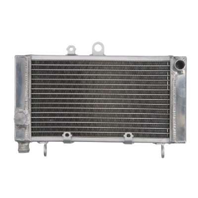 RADIATOR HONDA CBF 500 2004 2008 foto