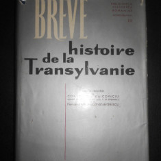 Constantin Daicoviciu, Miron Constantinescu - Breve histoire de la Transylvanie