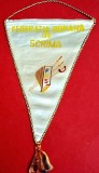 Fanion Sportiv (perioada comunista) - FEDERATIA de SCRIMA din ROMANIA (dimensiuni 26X17 cm)