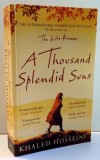 A THOUSAND SPLENDID SUNS by KHALED HOSEINI , 2008