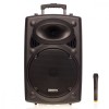 Boxa activa portabila de tip troler Temeisheng LA-12 cu Bluetooth
