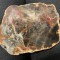 Superb lemn fosilizat, pietrificat, silicifiat, de dimensiunea 13 x 10 cm